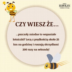 Cześć! 🐝 Wiedziałeś o prędkości z jaką poruszają się pszczoły miodne? Przyznasz jednak zapewne, że większe wrażenie robi ilość ruchów skrzydłami. Daj znać! 💬

#czywieszże #ciekawostka #pszczoły #savethebees #Apismellifera